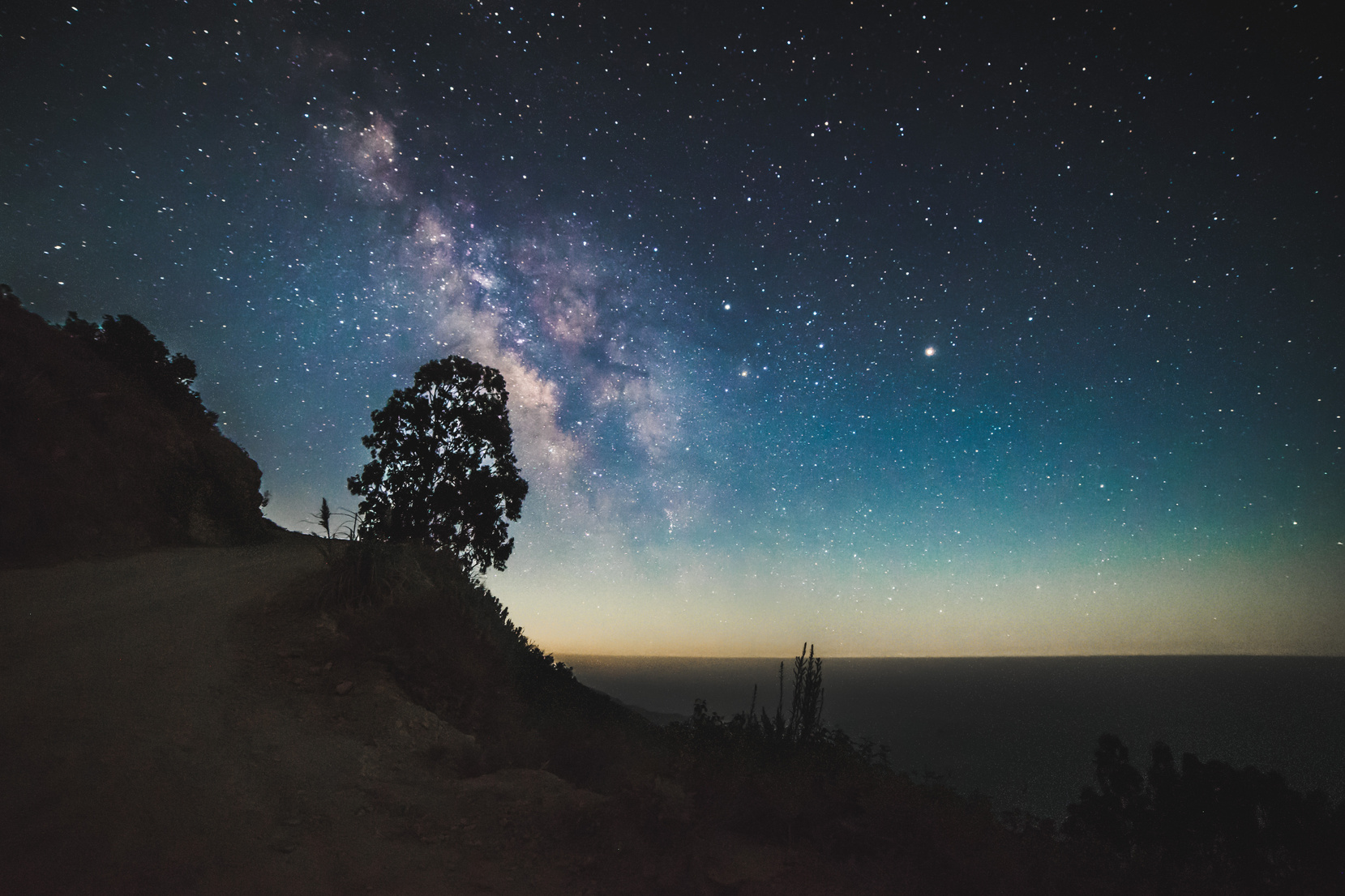 Tree Silhouette Under Starry Sky